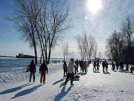 Auberge Godefroy - Patinoire