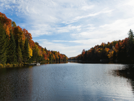Fiddler Lake Resort - Lac automne